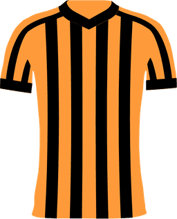 Hull City AFC