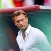 Herve Renard