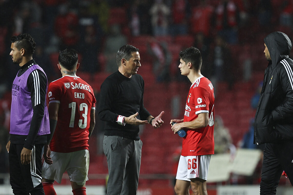 Roger Schmidt & Enzo Fernandez