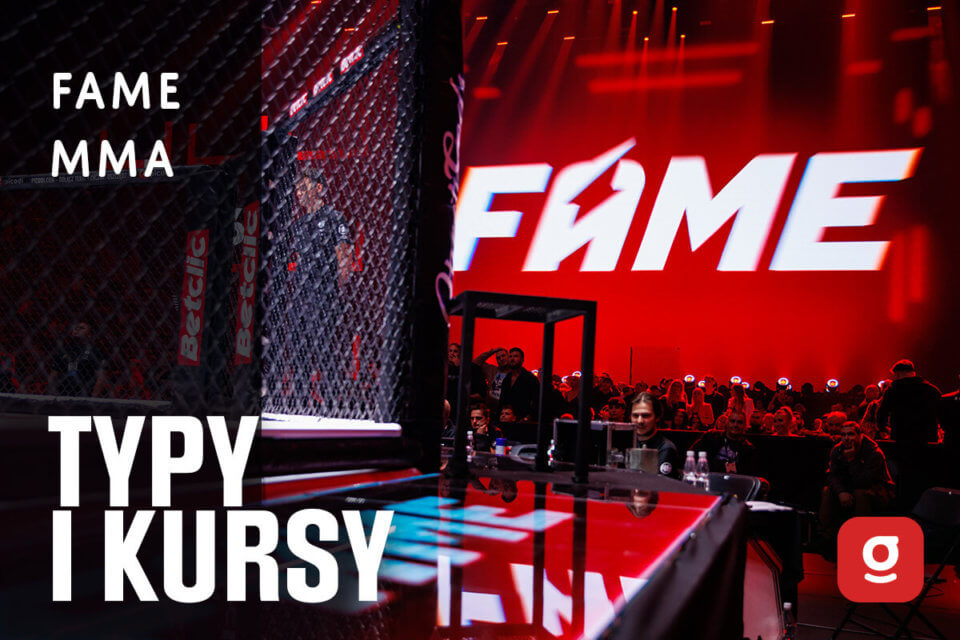 fame mma typy