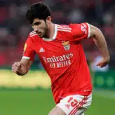 Goncalo Guedes