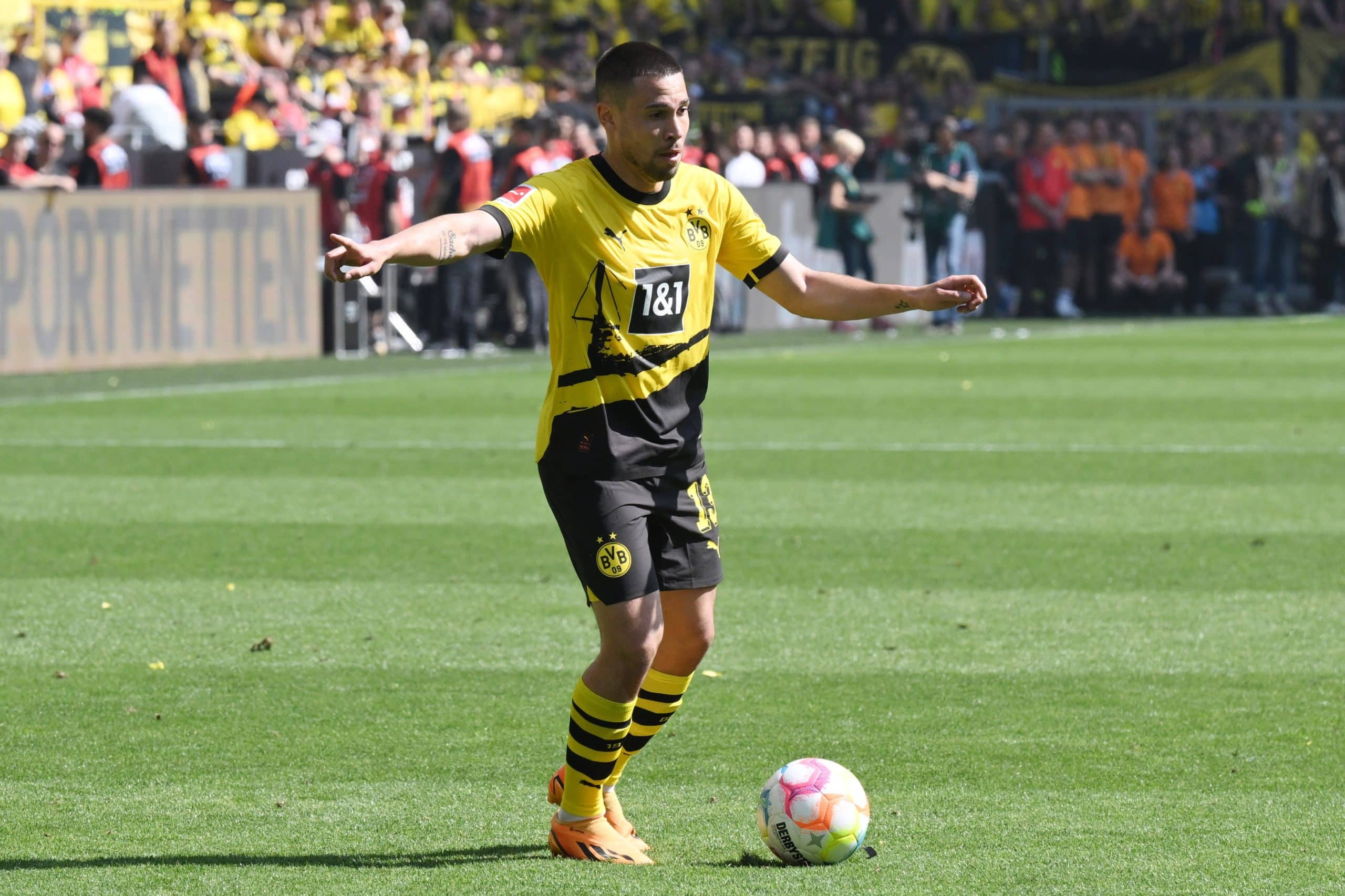 Raphael Guerreiro