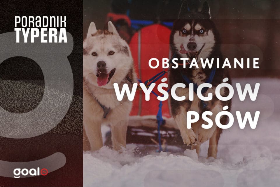 Wyścigi psów obstawianie