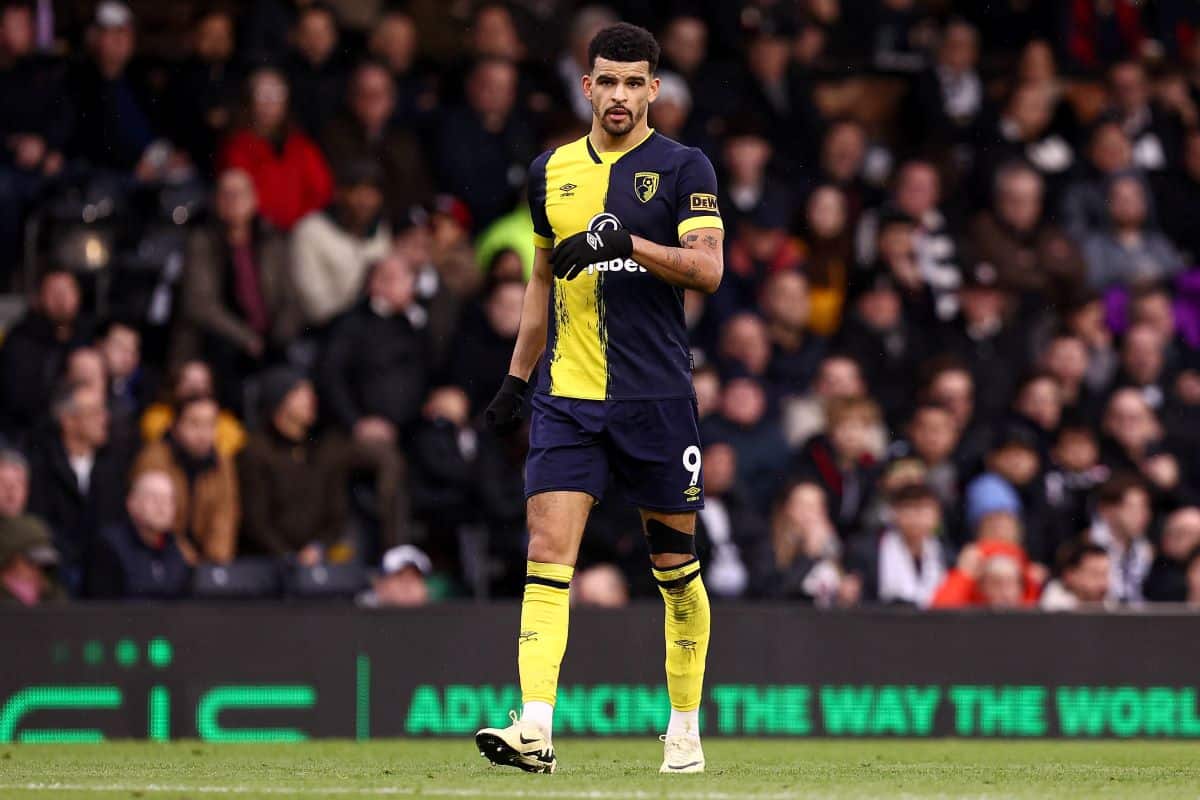 Dominic Solanke