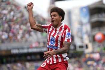 Axel Witsel