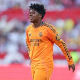 feature-image-642242