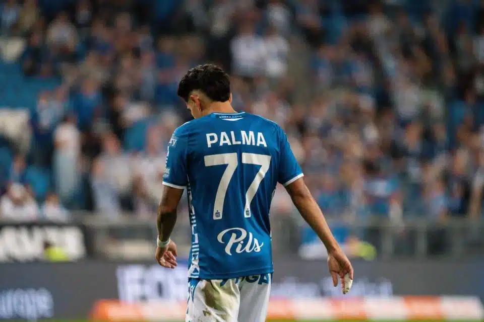 Luis Palma