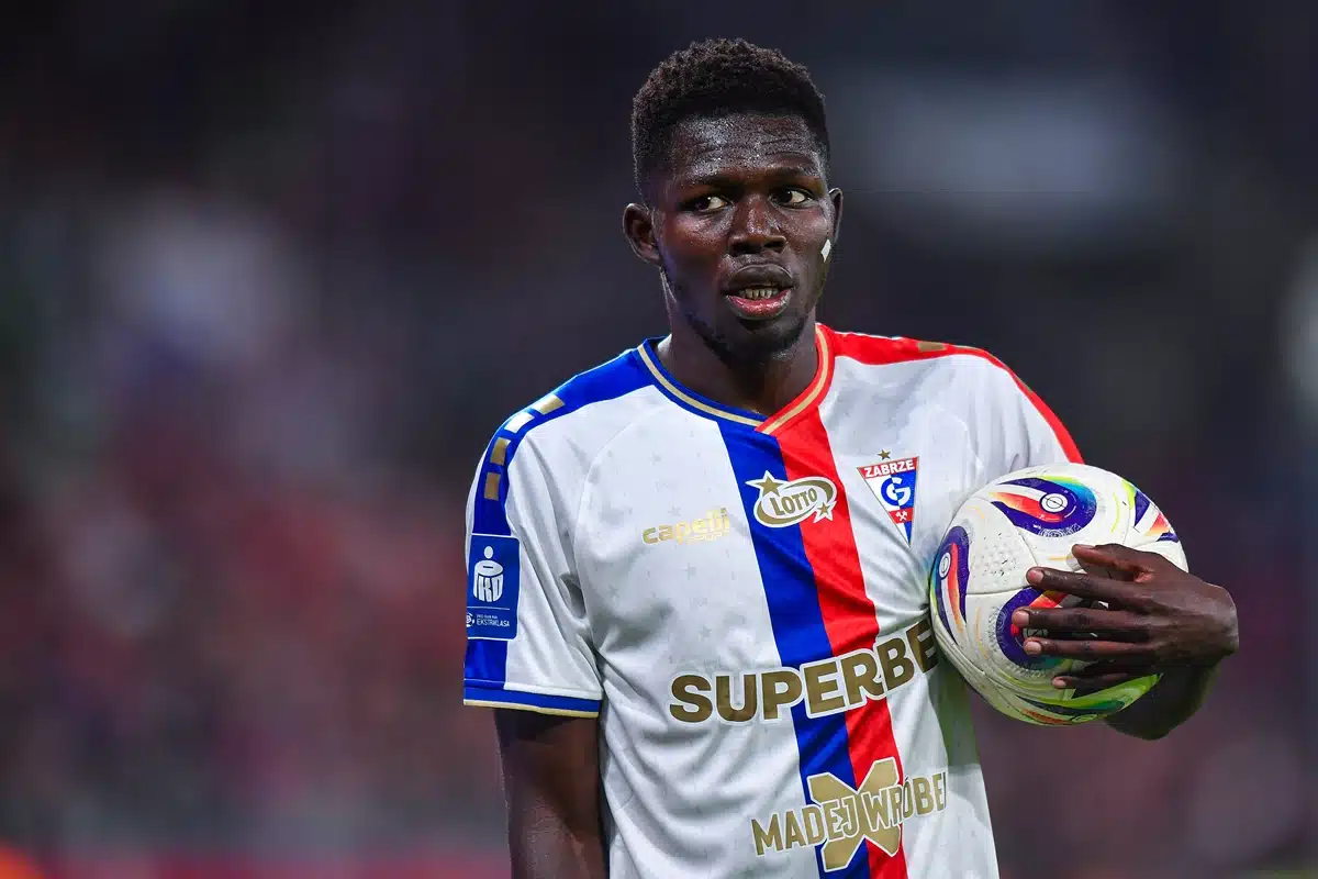 Ousmane Sow