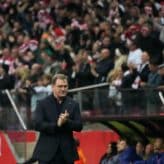 feature-image-647719