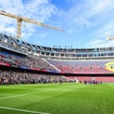 feature-image-647386