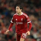 feature-image-650661