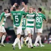 feature-image-649582