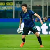 feature-image-660485