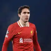 feature-image-662092