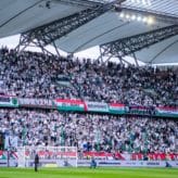 feature-image-657681