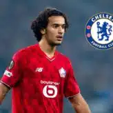 feature-image-653837