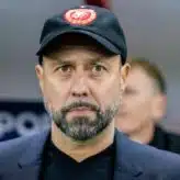 feature-image-660346