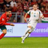 feature-image-670786