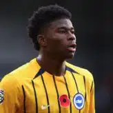 feature-image-662743