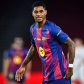 feature-image-667117