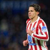 feature-image-667159