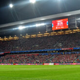 feature-image-667704